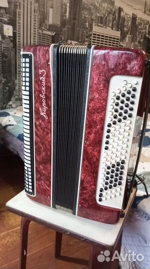 Баян Баян кировский 3