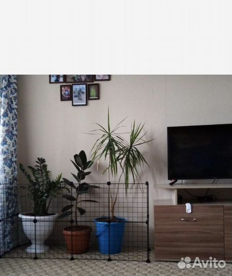 Вольер -клетка (металлический )