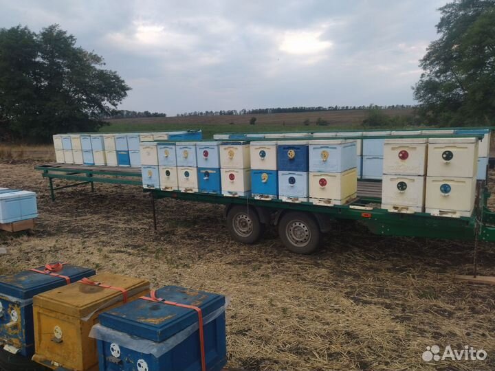 Пчелоприцеп легковой