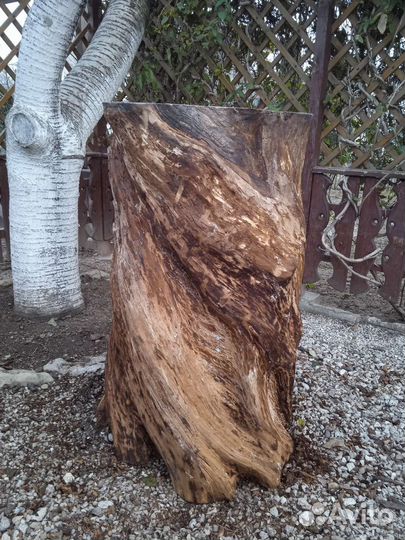 Спил ствола дерева