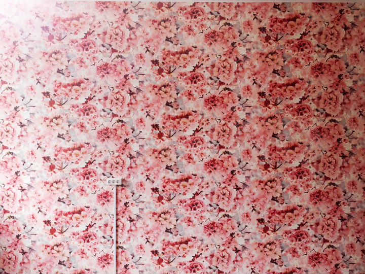 Комната 19 м² в 8-к., 2/5 эт.