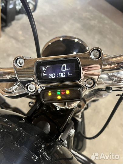 Harley Davidson Softail Standard