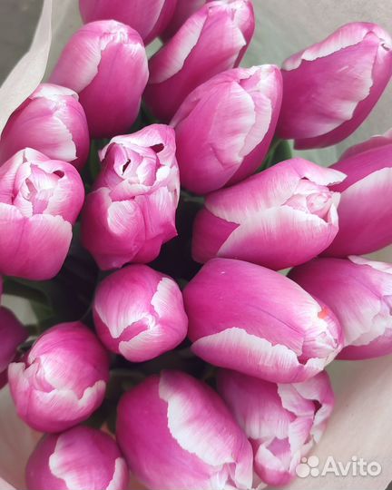 Цветы к 8 марта