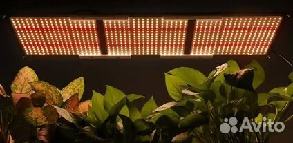 Фитолампа quantum board полный спектр 250 Вт