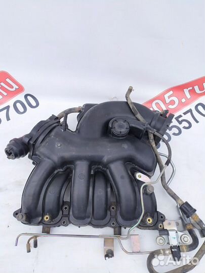 Nissan Teana j32 Коллектор