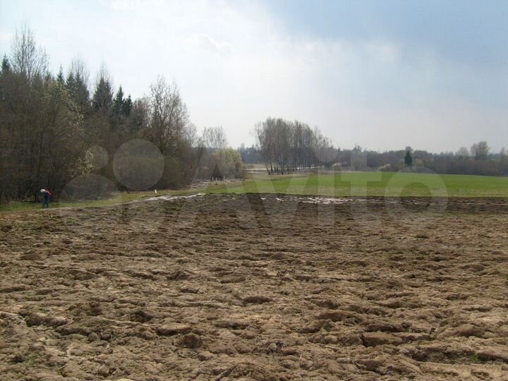 Участок 13 га (СНТ, ДНП)