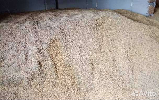 Ячменная дерть