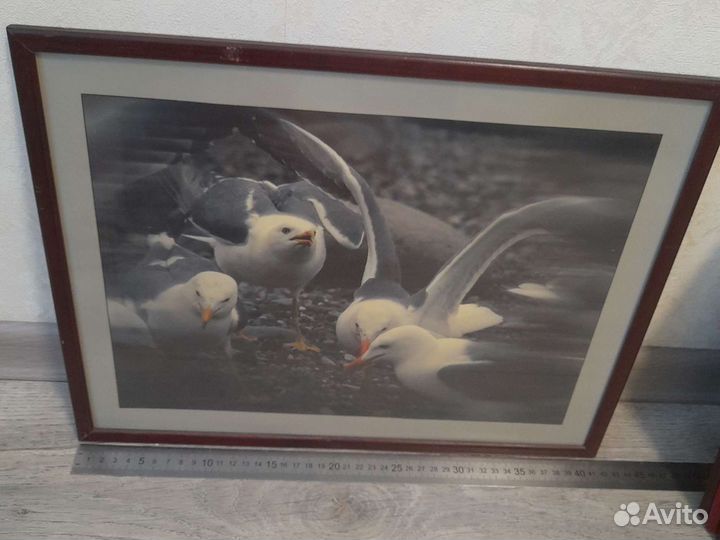 Фотокартины в рамке