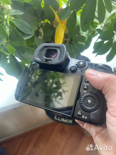 Panasonic Lumix GH5 + Panasonic Lumix 25mm f/1.7 G