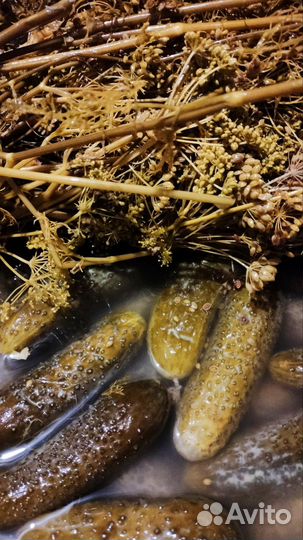 Домашнее соленья