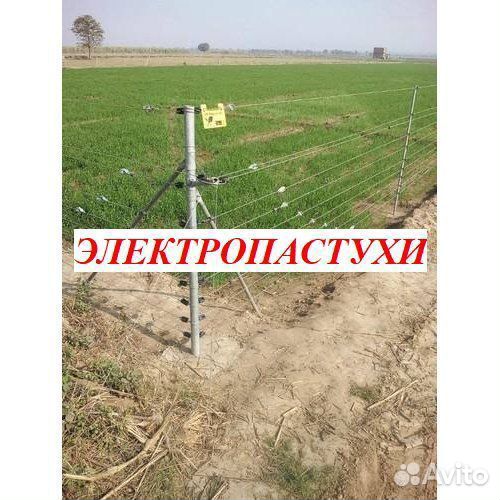 Электропастух