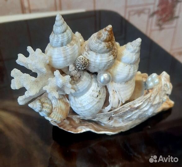 Сувенир из морских ракушек