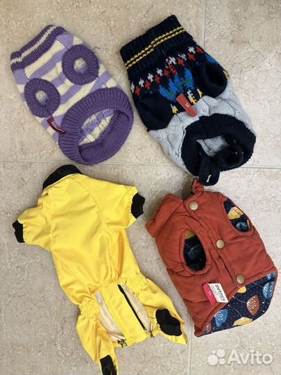 Гардероб щенка - одежда для собак кошек