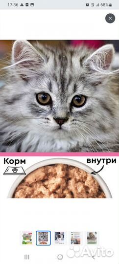 Консервы суфле для котят Четвероногий гурман