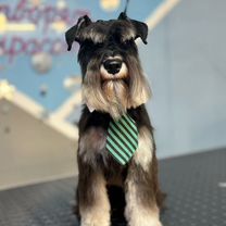 Девочки переодели мальчика в платье. Наказание детей комиксы. Наказание мальчиков у девочек. Наказание детей рассказы. Родители наказывают детей.