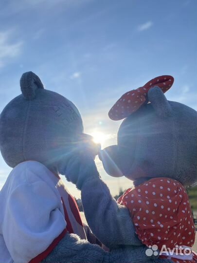 Аренда костюма аниматора