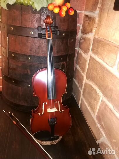 Скрипка 2/4