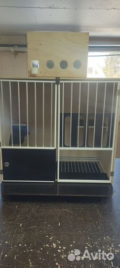 Гнездо для голубей (тюрьма)