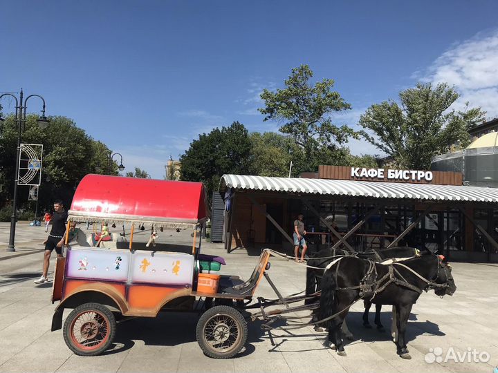 Фаэтон для пони и лошади