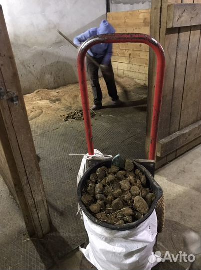 Конский навоз в мешках, доставка