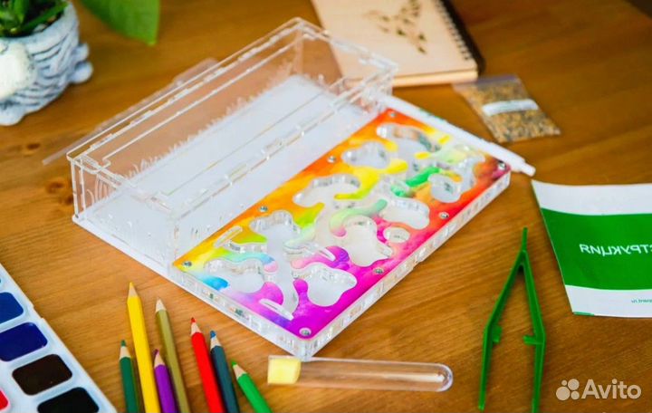 Муравьиная ферма под ключ