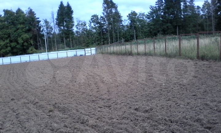 Участок 21 сот. (СНТ, ДНП)