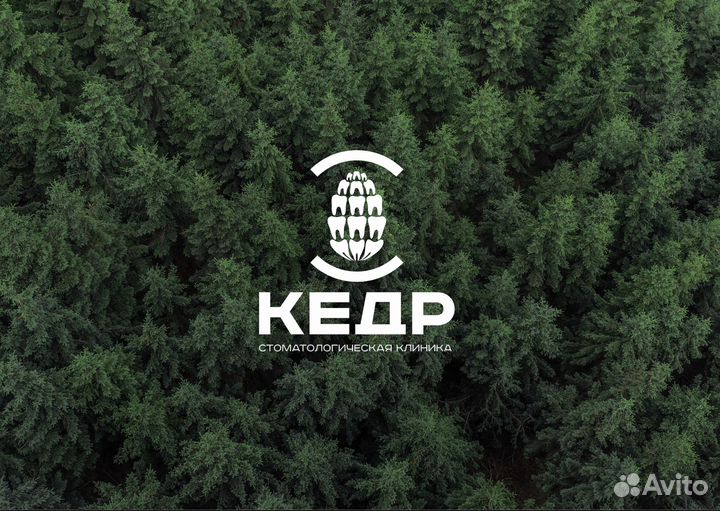 Разработка логотипа фирменный стиль брендинг