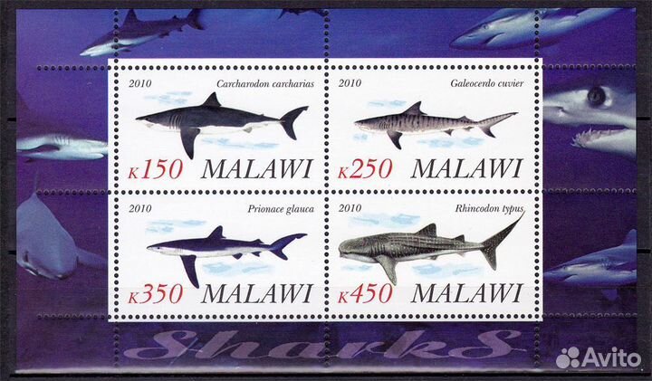 Животный мир. Блоки Малави 2010 год MNH **