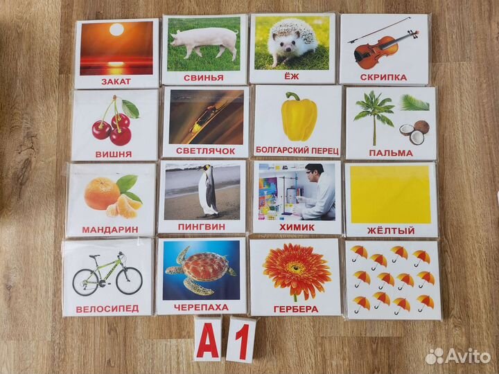 Вундеркинд с пеленок