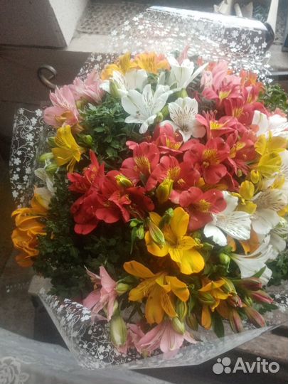 Живые цветы букеты