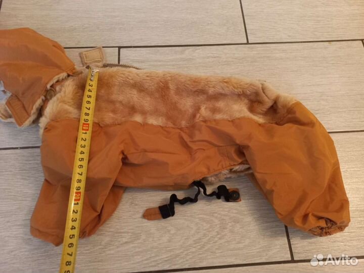 Костюм для собаки