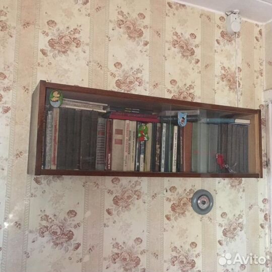 Стекла для книжной полки,2 шт