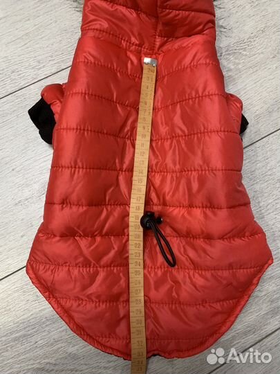 Одежда для собак