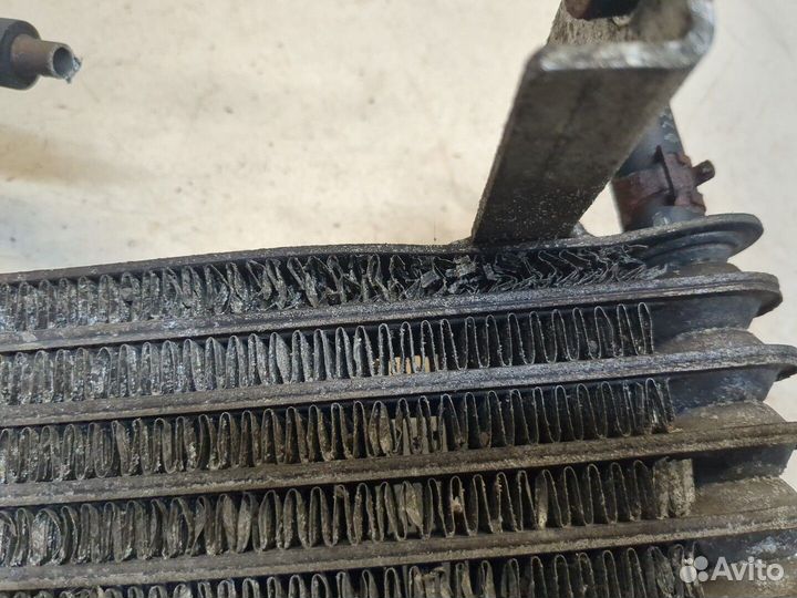 Радиатор масляный Nissan Elgrand, 1998