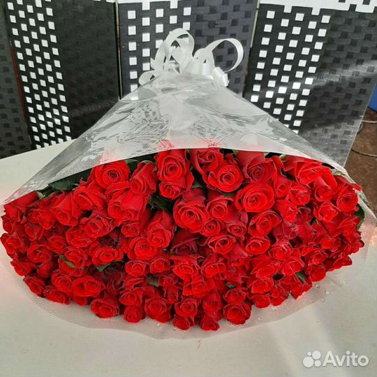Розы приморские