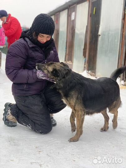 Нежная и робкая Баллин хочет домой