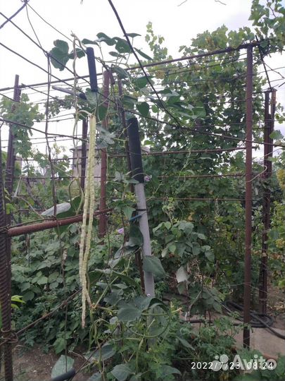 Продается новая шкатулка