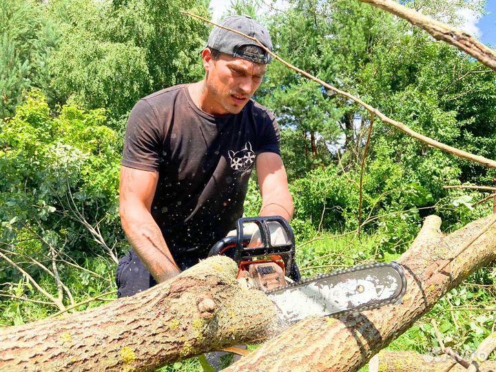 Расчистка участка / спил деревьев Сергиев Посад
