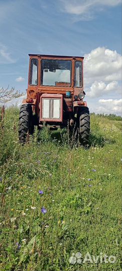 Трактор ХТЗ Т-16М-У1, 2023