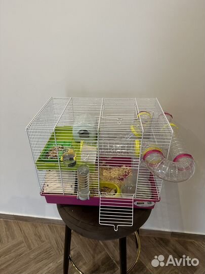 Джунгарский хомяк с клеткой