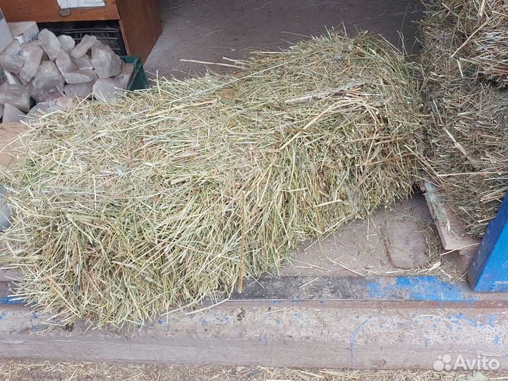 Сено люцерна и луговой