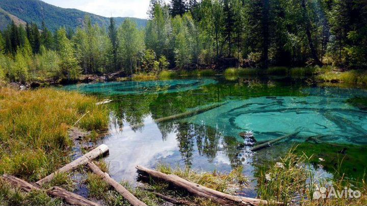 Туры по Горному Алтаю