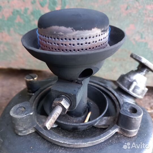 Примус шмель