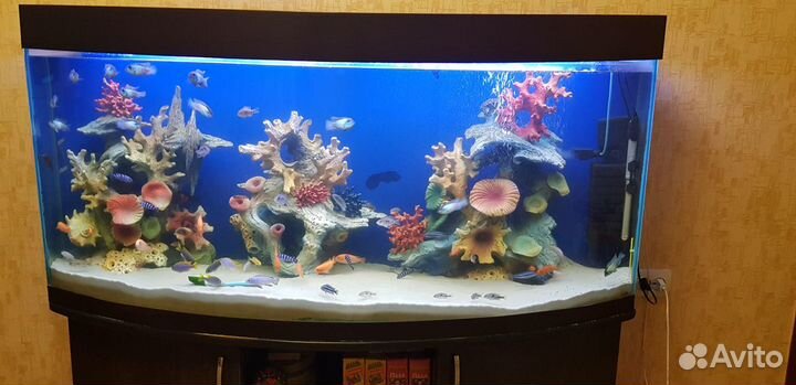 Аквариум 350 литров, со всеми декорациями+тумба