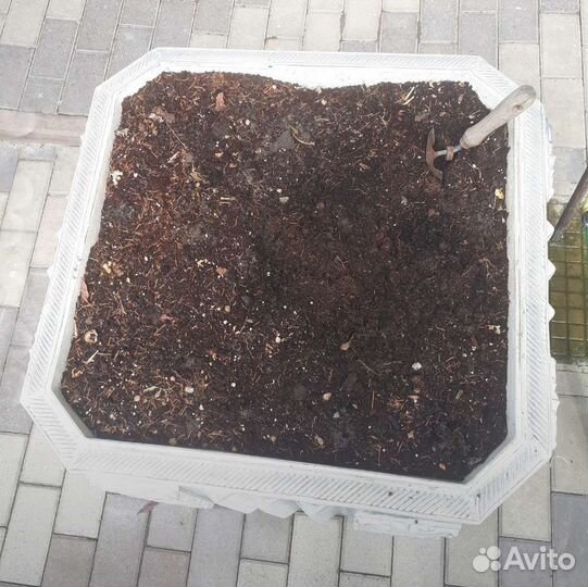 Вазоны или вазы для цветов 