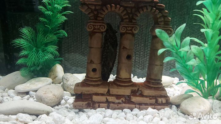 Аквариум 30л