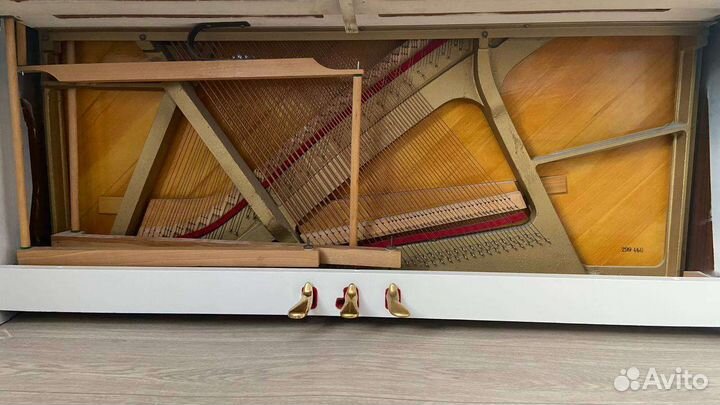 Пианино petrof белое с доставкой