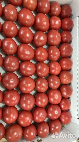 Помидоры Азербайджанские