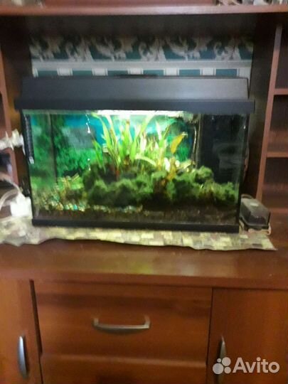 Аквариум