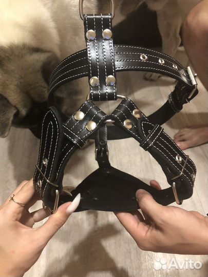 Шлейка кожаная для большой собаки
